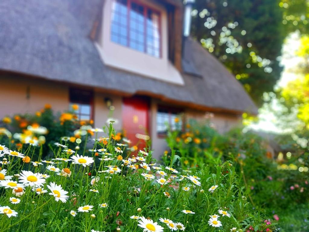 Granny Mouse Country House & Spa Balgowan Exterior photo